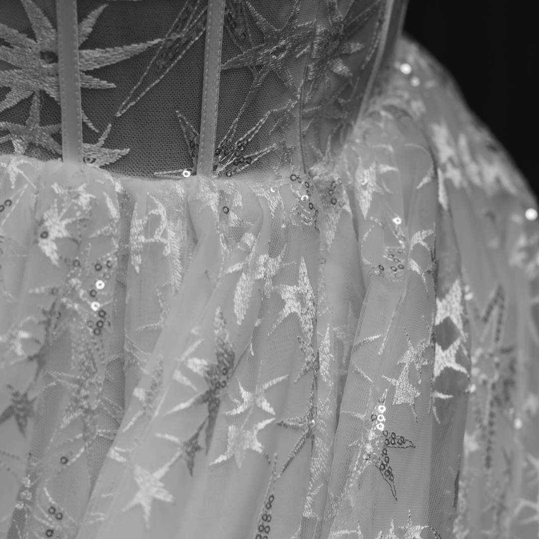 Silvia Star Ball Gown Embroidery